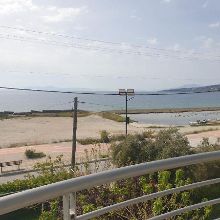 Bella Vista Apartman Vólosz Kültér fotó